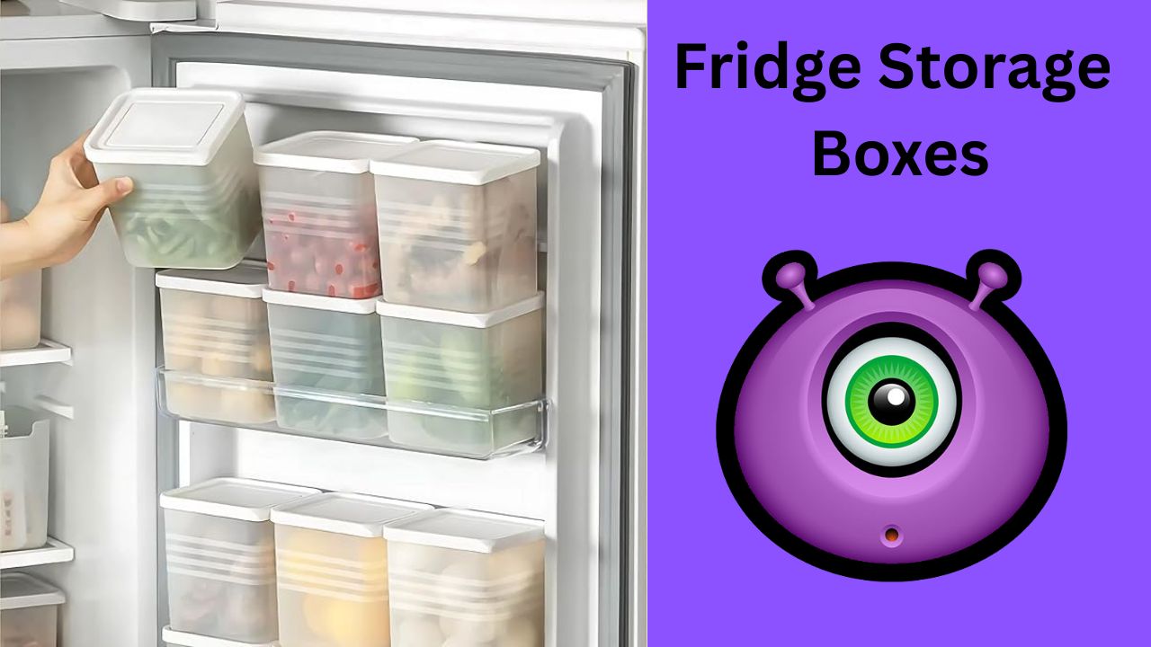 Fridge Storage Boxes